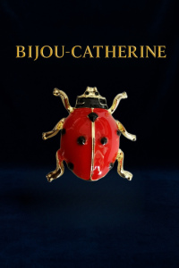 Broche Coccinelle en émail rouge